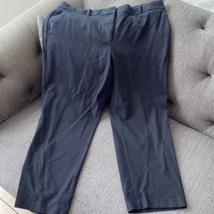 Ann Taylor Curvy Fit - 14